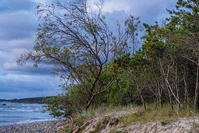 赞比亚男篮在非洲预赛中奋勇实干，勇夺佳绩，赞比亚联赛