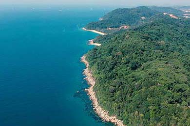 赞比亚男篮在非洲预赛中奋勇实干，勇夺佳绩，赞比亚联赛