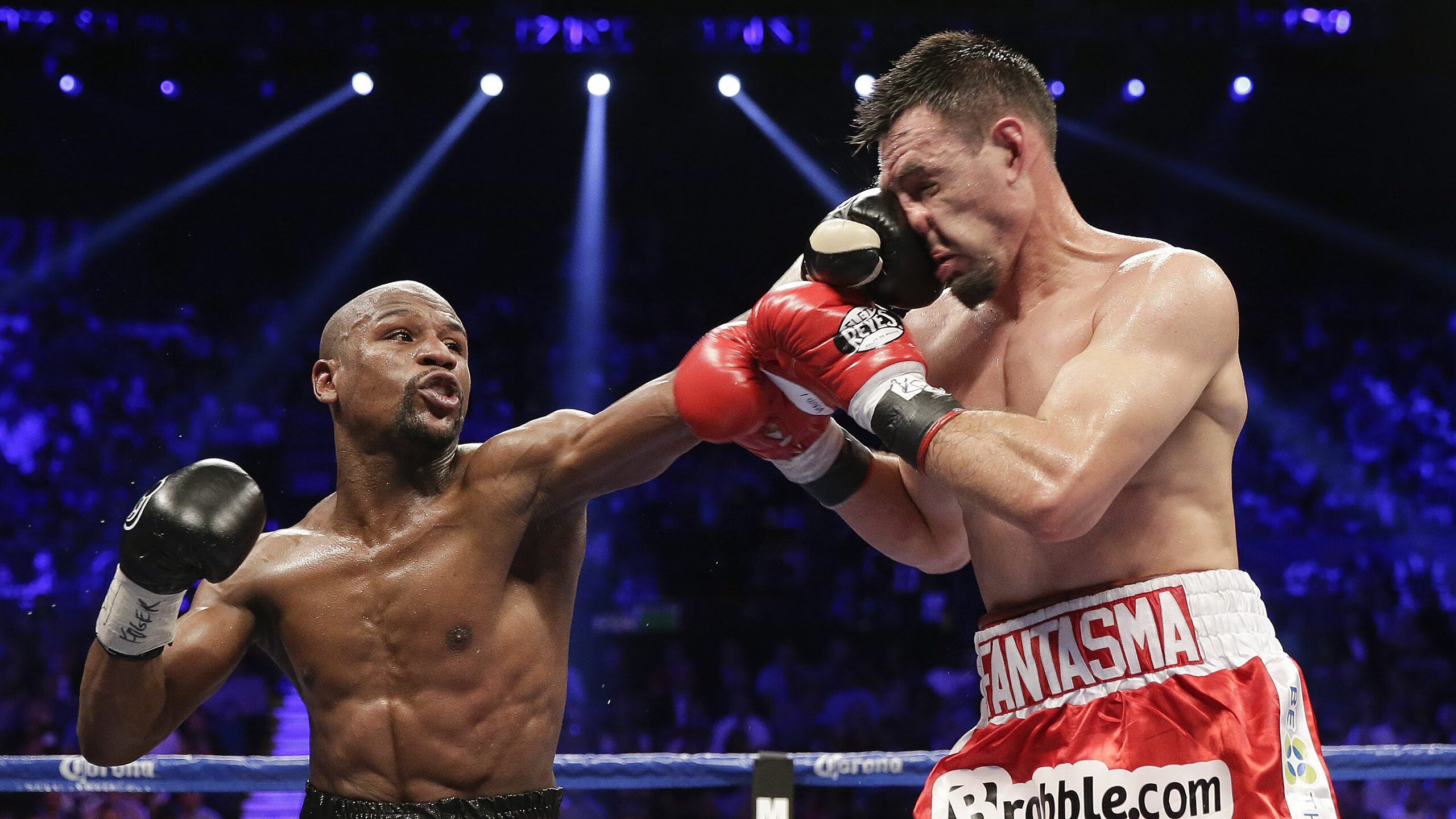 仰泳赛道中立代表队A选手节奏精准，仰泳 2017